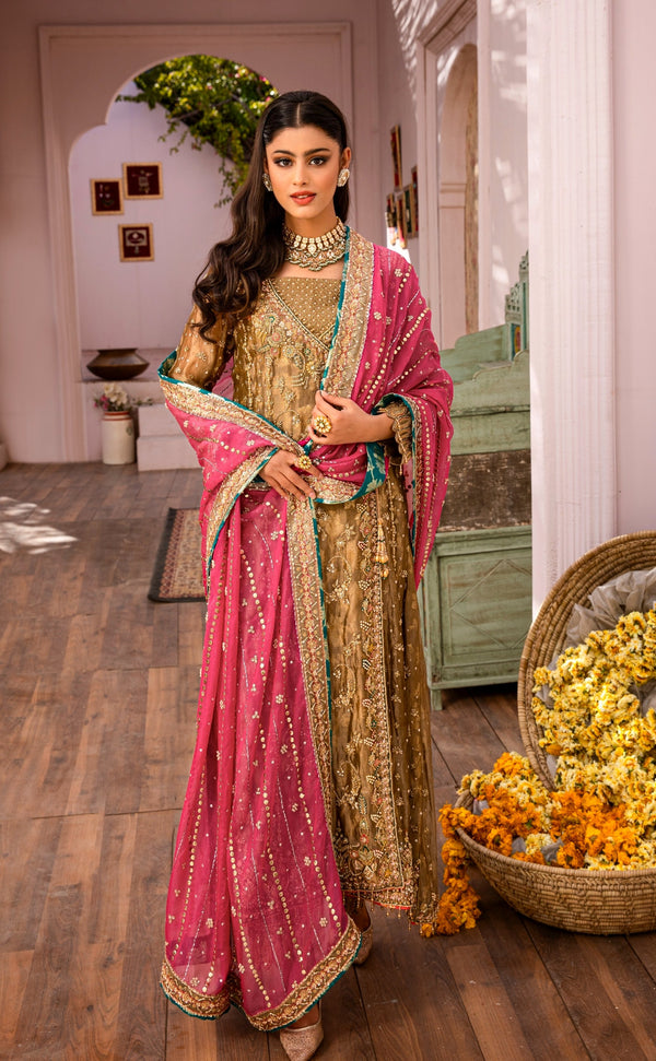 Mehndi Angrakha Olive brown Fayra Collection GZW-471