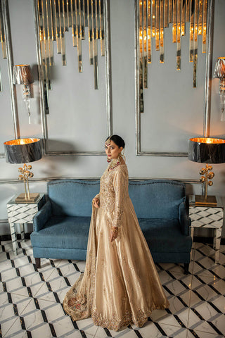 Wedding Wear Goldenzari By Shujat GZW-415